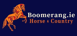 company_logo