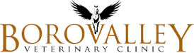 company_logo