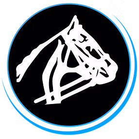 company_logo